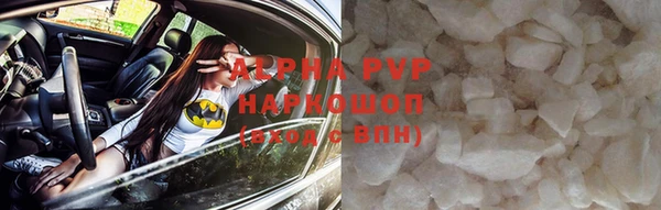соль ск Ельня