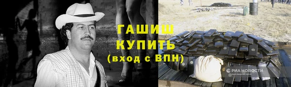 соль ск Ельня