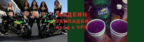 соль ск Ельня