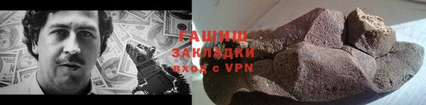 соль ск Ельня
