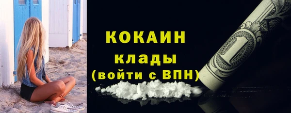 дживик Елизово