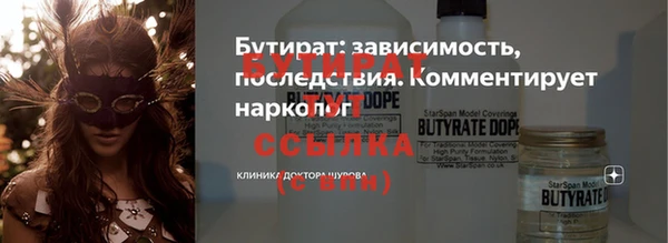 соль ск Ельня