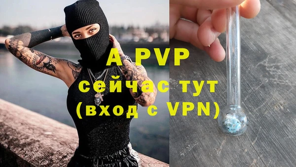 дживик Елизово