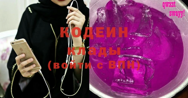 соль ск Ельня
