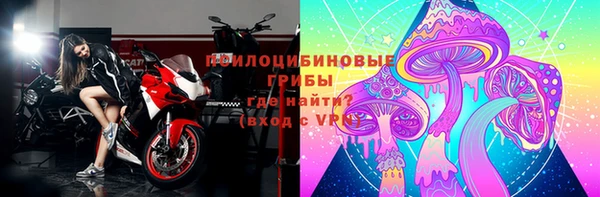 дживик Елизово