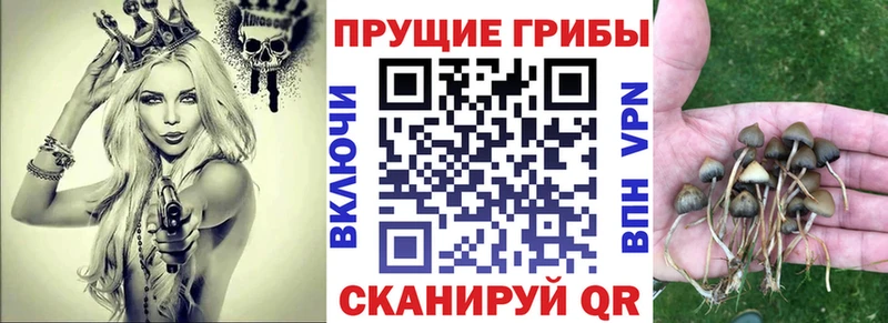 Галлюциногенные грибы мухоморы  хочу   кракен зеркало  Заполярный 