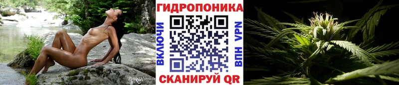 где найти   Заполярный  Бошки марихуана AK-47 